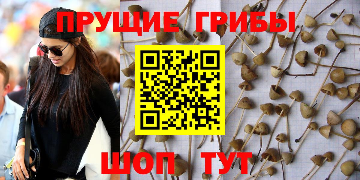 Галлюциногенные грибы MAGIC MUSHROOMS  Вход с VPN  Якутск 