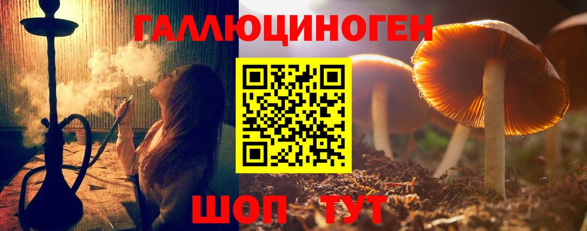 Псилоцибиновые грибы GOLDEN TEACHER Якутск